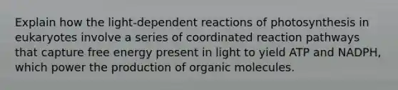 Explain how the light-dependent reactions of photosynthesis in eukaryotes involve a series of coordinated reaction pathways that capture free energy present in light to yield ATP and NADPH, which power the production of organic molecules.