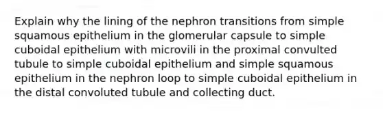 Explain why the lining of the nephron transitions from simple squamous epithelium in the glomerular capsule to simple cuboidal epithelium with microvili in the proximal convulted tubule to simple cuboidal epithelium and simple squamous epithelium in the nephron loop to simple cuboidal epithelium in the distal convoluted tubule and collecting duct.