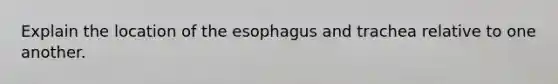 Explain the location of the esophagus and trachea relative to one another.