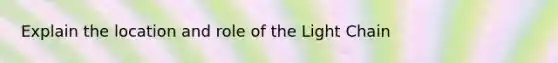 Explain the location and role of the Light Chain