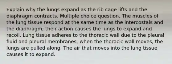 Explain why the lungs expand as the rib cage lifts and the diaphragm contracts. Multiple choice question. The muscles of the lung tissue respond at the same time as the intercostals and the diaphragm; their action causes the lungs to expand and recoil. Lung tissue adheres to the thoracic wall due to the pleural fluid and pleural membranes; when the thoracic wall moves, the lungs are pulled along. The air that moves into the lung tissue causes it to expand.