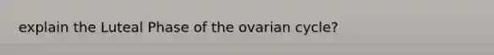 explain the Luteal Phase of the ovarian cycle?