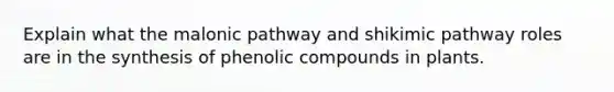 Explain what the malonic pathway and shikimic pathway roles are in the synthesis of phenolic compounds in plants.