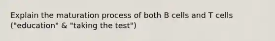 Explain the maturation process of both B cells and T cells ("education" & "taking the test")