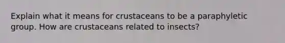 Explain what it means for crustaceans to be a paraphyletic group. How are crustaceans related to insects?