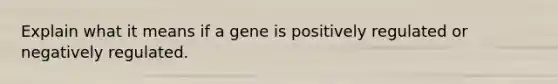 Explain what it means if a gene is positively regulated or negatively regulated.