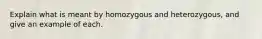 Explain what is meant by homozygous and heterozygous, and give an example of each.