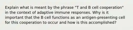 Explain what is meant by the phrase "T and B cell cooperation" in the context of adaptive immune responses. Why is it important that the B cell functions as an antigen-presenting cell for this cooperation to occur and how is this accomplished?