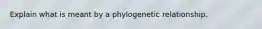 Explain what is meant by a phylogenetic relationship.