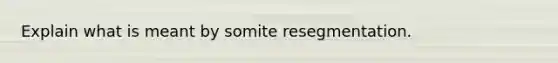 Explain what is meant by somite resegmentation.