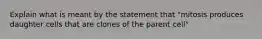 Explain what is meant by the statement that "mitosis produces daughter cells that are clones of the parent cell"