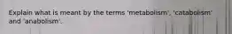 Explain what is meant by the terms 'metabolism', 'catabolism' and 'anabolism'.