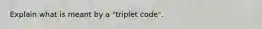 Explain what is meant by a "triplet code".