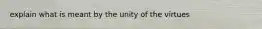 explain what is meant by the unity of the virtues