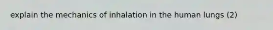 explain the mechanics of inhalation in the human lungs (2)