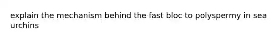 explain the mechanism behind the fast bloc to polyspermy in sea urchins