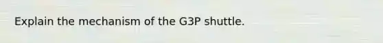 Explain the mechanism of the G3P shuttle.