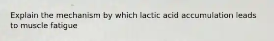 Explain the mechanism by which lactic acid accumulation leads to muscle fatigue