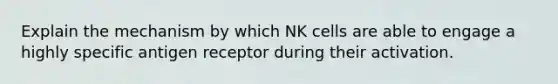 Explain the mechanism by which NK cells are able to engage a highly specific antigen receptor during their activation.