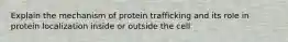 Explain the mechanism of protein trafficking and its role in protein localization inside or outside the cell