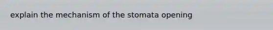 explain the mechanism of the stomata opening