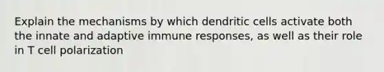 Explain the mechanisms by which dendritic cells activate both the innate and adaptive immune responses, as well as their role in T cell polarization