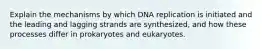 Explain the mechanisms by which DNA replication is initiated and the leading and lagging strands are synthesized, and how these processes differ in prokaryotes and eukaryotes.