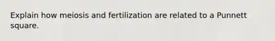 Explain how meiosis and fertilization are related to a Punnett square.