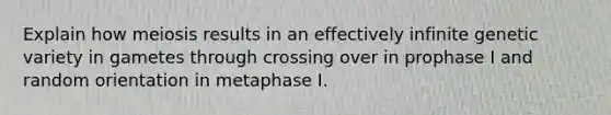 Explain how meiosis results in an effectively infinite genetic variety in gametes through crossing over in prophase I and random orientation in metaphase I.