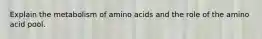 Explain the metabolism of amino acids and the role of the amino acid pool.