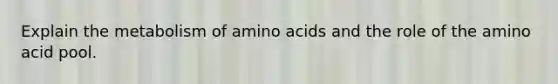 Explain the metabolism of amino acids and the role of the amino acid pool.