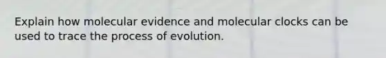 Explain how molecular evidence and molecular clocks can be used to trace the process of evolution.