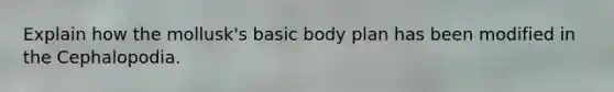 Explain how the mollusk's basic body plan has been modified in the Cephalopodia.