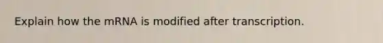 Explain how the mRNA is modified after transcription.