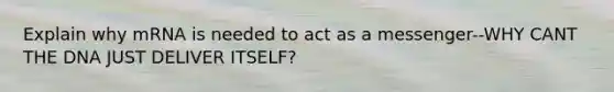 Explain why mRNA is needed to act as a messenger--WHY CANT THE DNA JUST DELIVER ITSELF?
