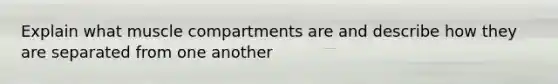 Explain what muscle compartments are and describe how they are separated from one another