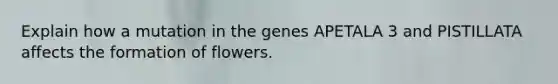 Explain how a mutation in the genes APETALA 3 and PISTILLATA affects the formation of flowers.