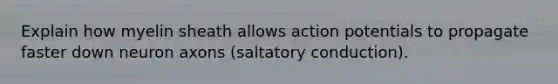 Explain how myelin sheath allows action potentials to propagate faster down neuron axons (saltatory conduction).