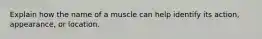 Explain how the name of a muscle can help identify its action, appearance, or location.