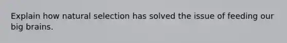 Explain how natural selection has solved the issue of feeding our big brains.