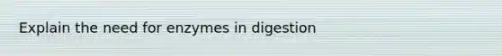 Explain the need for enzymes in digestion