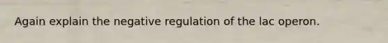 Again explain the negative regulation of the lac operon.