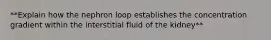 **Explain how the nephron loop establishes the concentration gradient within the interstitial fluid of the kidney**