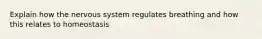 Explain how the nervous system regulates breathing and how this relates to homeostasis