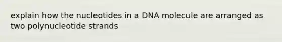 explain how the nucleotides in a DNA molecule are arranged as two polynucleotide strands