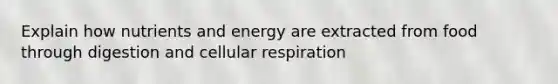 Explain how nutrients and energy are extracted from food through digestion and cellular respiration