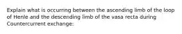 Explain what is occurring between the ascending limb of the loop of Henle and the descending limb of the vasa recta during Countercurrent exchange: