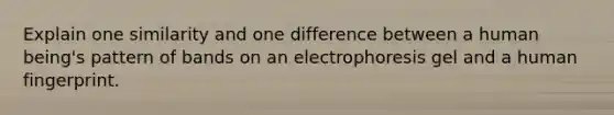 Explain one similarity and one difference between a human being's pattern of bands on an electrophoresis gel and a human fingerprint.