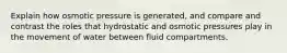 Explain how osmotic pressure is generated, and compare and contrast the roles that hydrostatic and osmotic pressures play in the movement of water between fluid compartments.