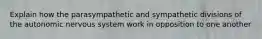 Explain how the parasympathetic and sympathetic divisions of the autonomic nervous system work in opposition to one another